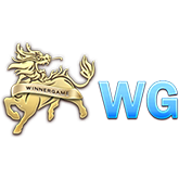 Nhà cung cấp WG_LIVE – DR88