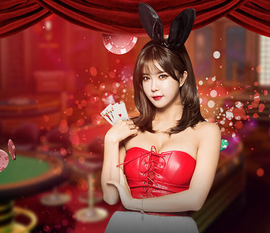 Dream Gaming – sòng bài DR88