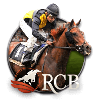 RCB – đá gà đua ngựa DR88