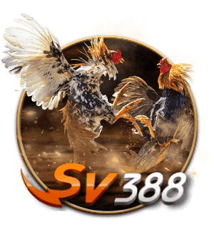 SV388 – đá gà đua ngựa DR88